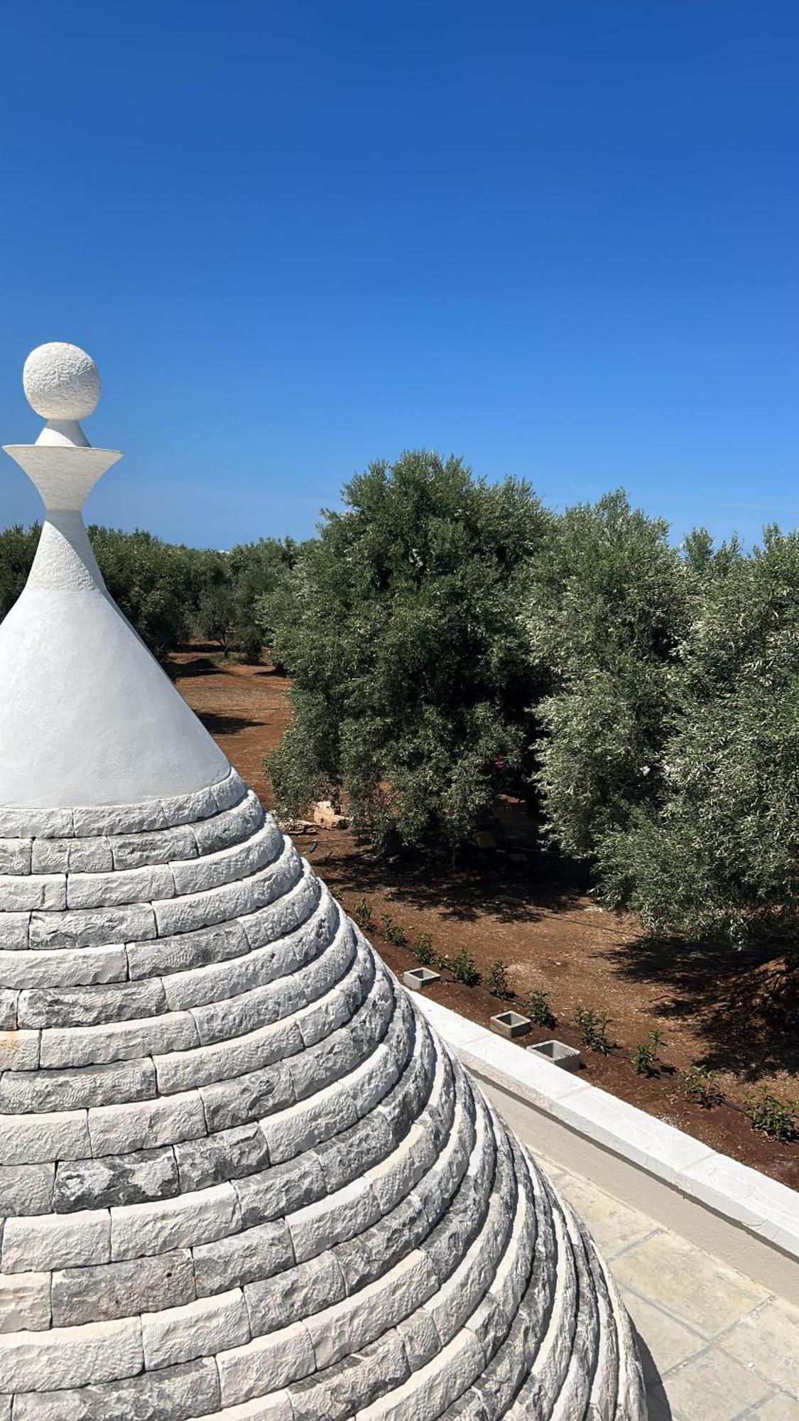 ペッツェ・ディ・グレーコ Il Trullo Di Bina Bed & Breakfast エクステリア 写真