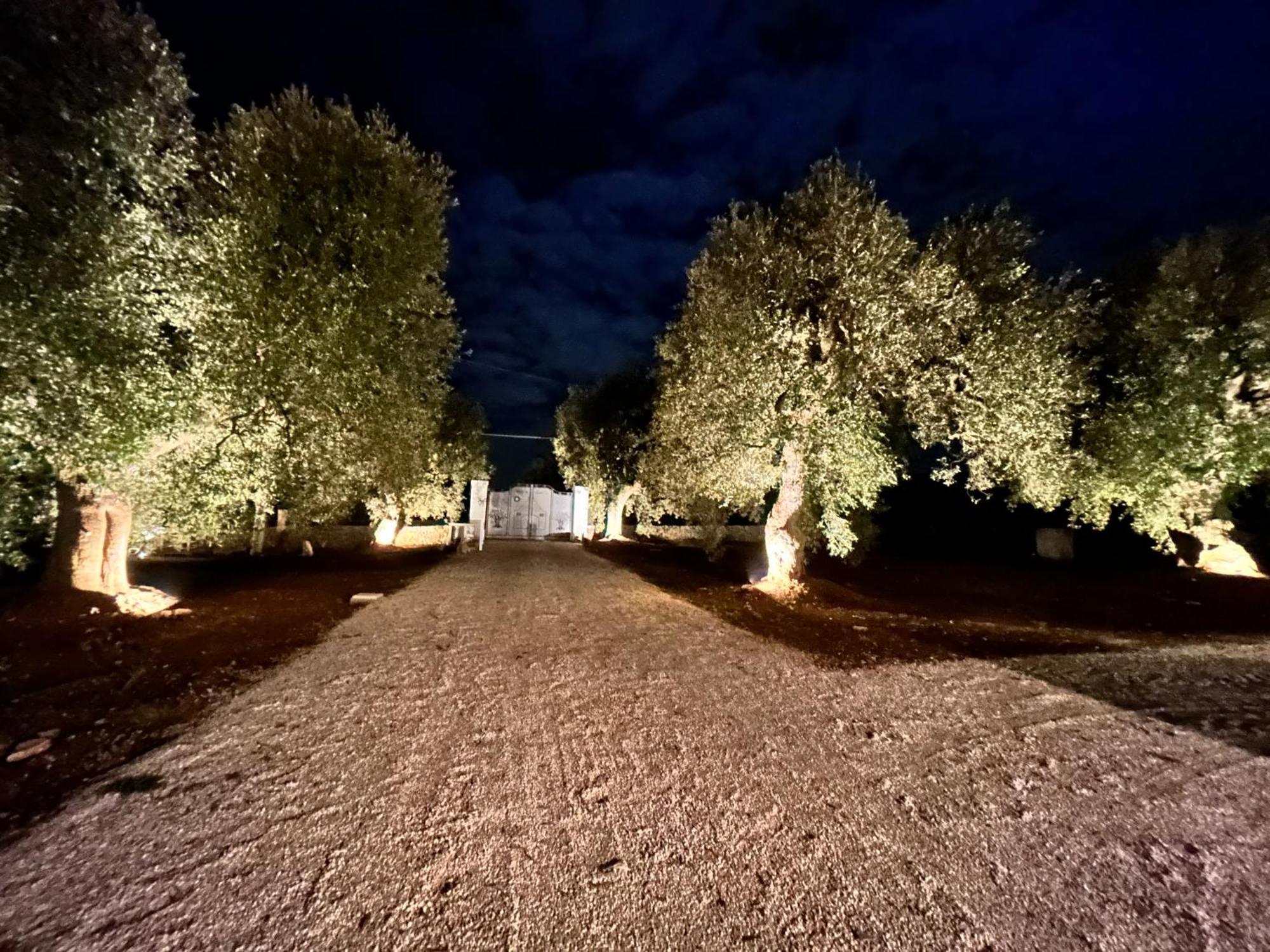 ペッツェ・ディ・グレーコ Il Trullo Di Bina Bed & Breakfast エクステリア 写真